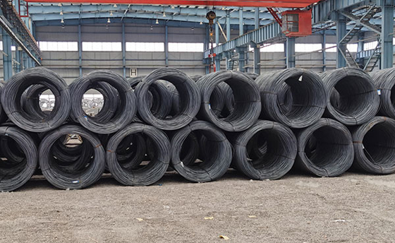 Payment Term Carbon Steel Strip with Zinc Coating for Industrial