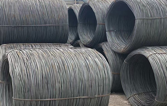 Payment Term Carbon Steel Strip with Zinc Coating for Industrial