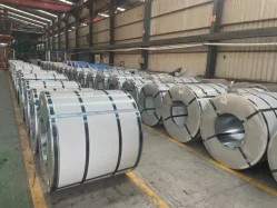 304 Stainless Steel Coil Strip Cold Rolled Sample Provided Factory Price In China